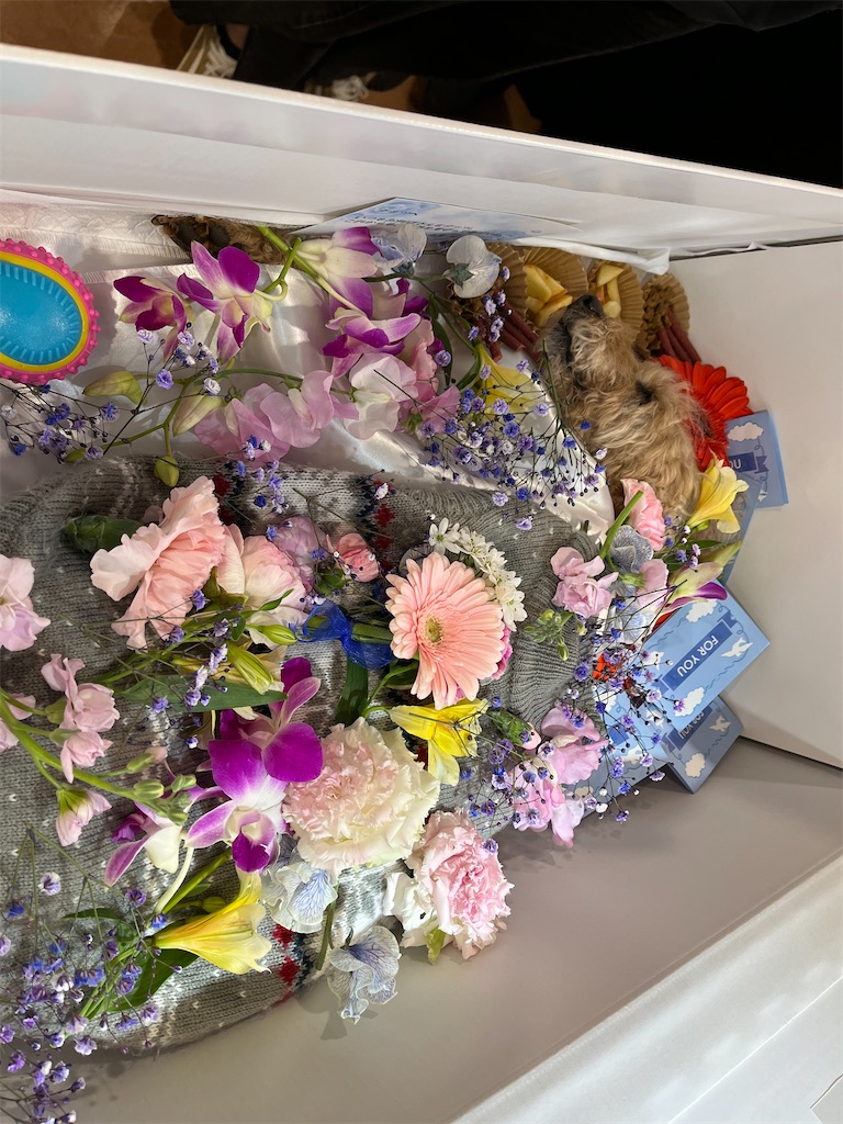 f:id:osamu-3:20230327145410j:image