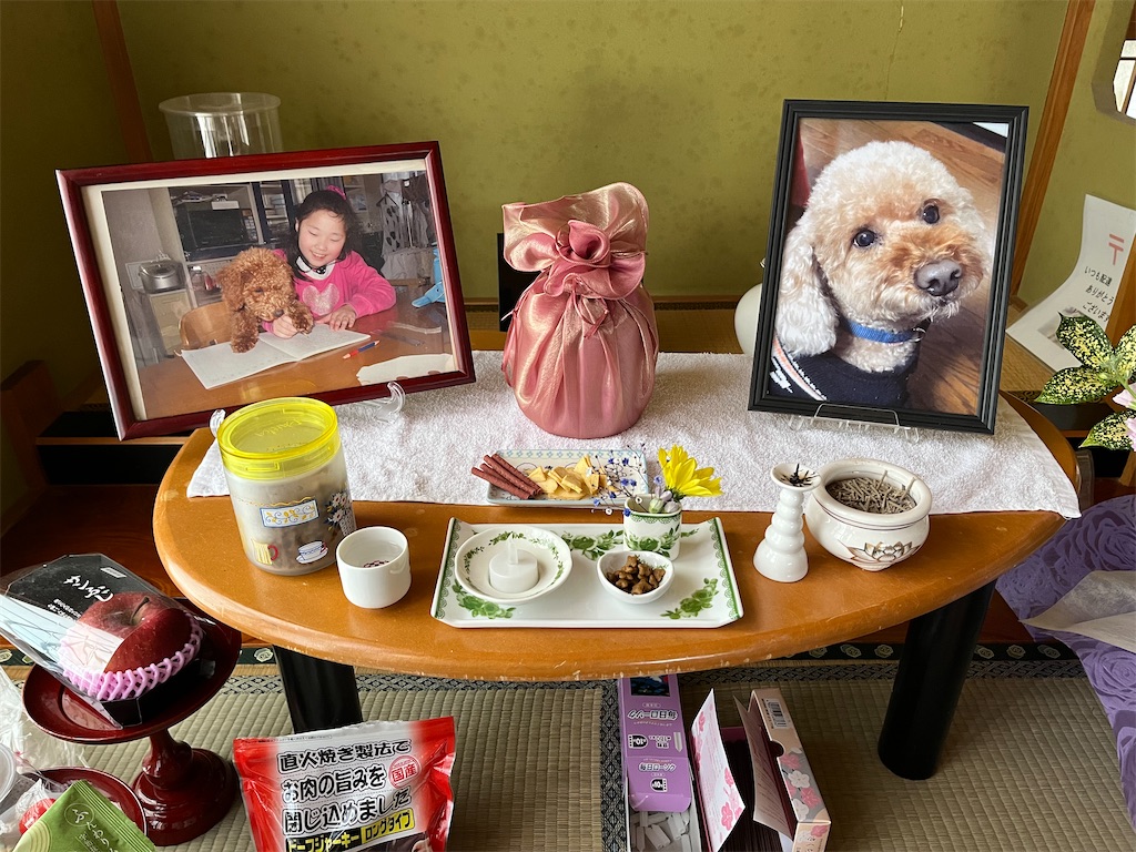 f:id:osamu-3:20230327160000j:image