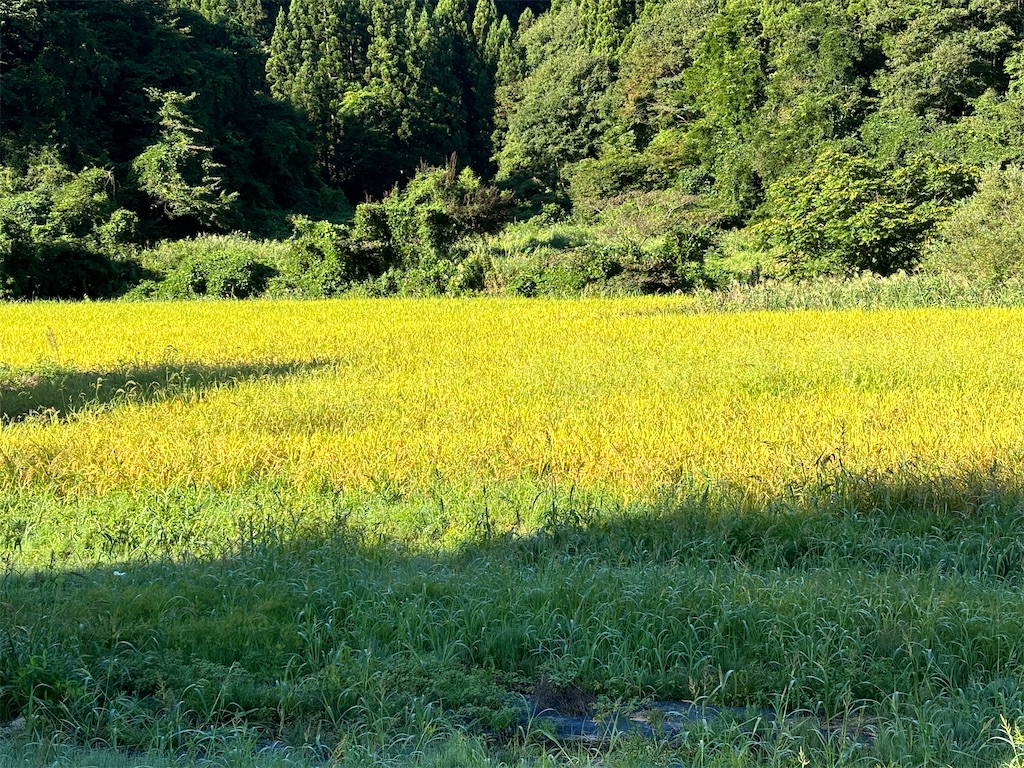 f:id:osamu-3:20240908112314j:image