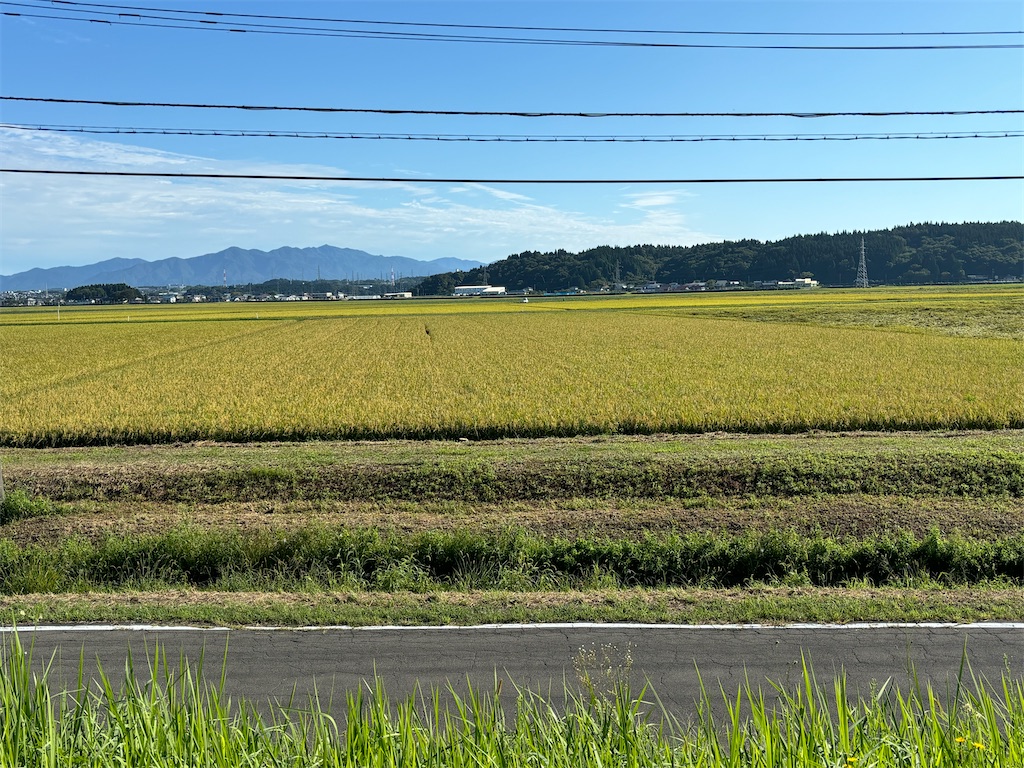 f:id:osamu-3:20240908112320j:image
