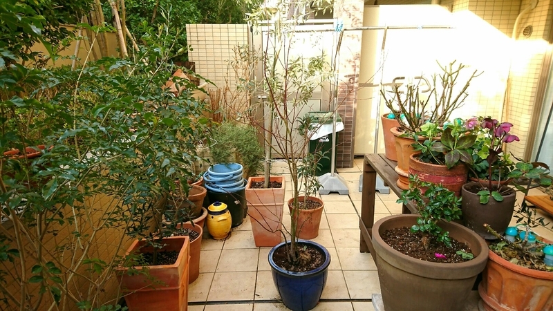 f:id:osamu-kurosaka:20190207105637j:plain f:id:osamu-kurosaka:20190207105637j:plain