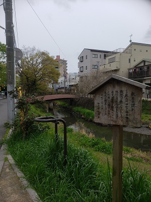 f:id:osamu-ok:20200415214927j:plain
