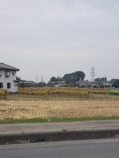 f:id:osamu-ok:20201005211019j:plain f:id:osamu-ok:20201005211019j:plain