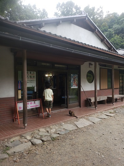 f:id:osamu-ok:20201005231534j:plain