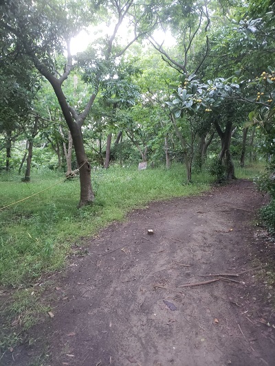 f:id:osamu-ok:20210606220645j:plain