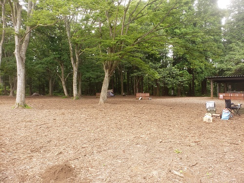 f:id:osamu-ok:20210628000616j:plain