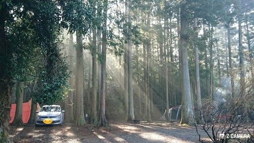 f:id:osamu-ok:20211024003350j:plain