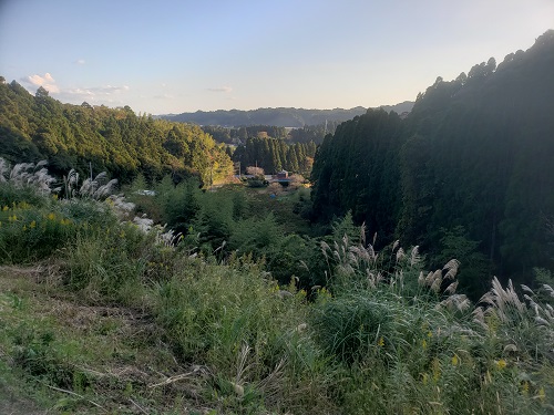 f:id:osamu-ok:20211113231242j:plain