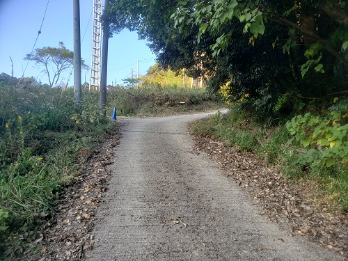 f:id:osamu-ok:20211113233314j:plain