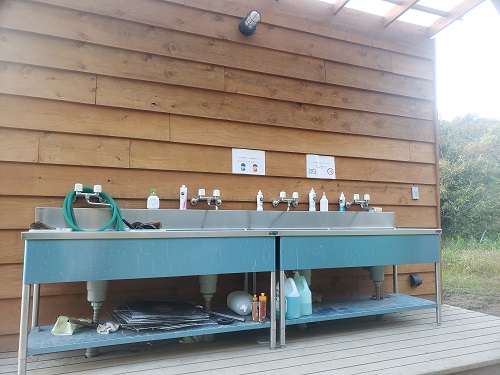 f:id:osamu-ok:20211114081054j:plain