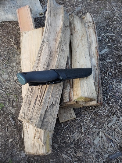 f:id:osamu-ok:20211116231035j:plain