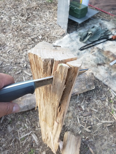 f:id:osamu-ok:20211116231123j:plain