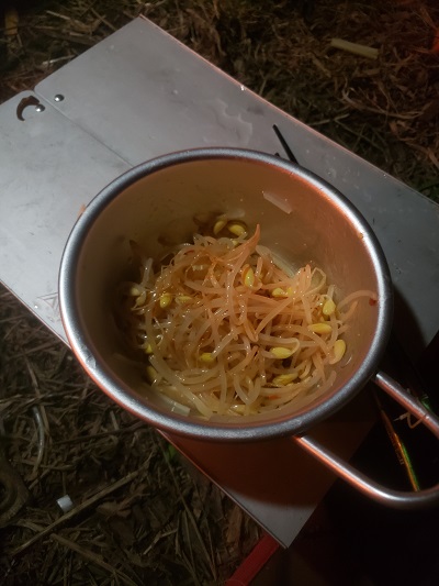 f:id:osamu-ok:20211116235908j:plain