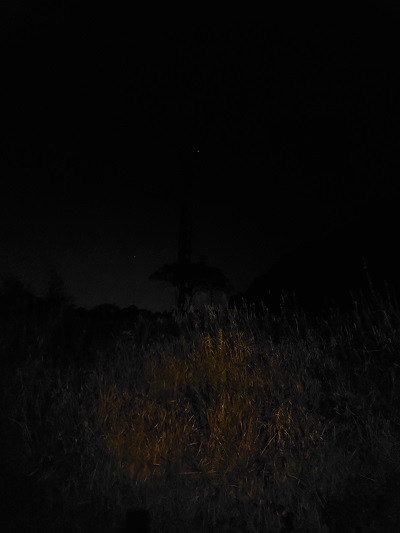 f:id:osamu-ok:20211119000723j:plain