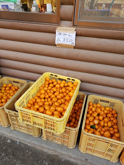 千葉 オレンジ村オートキャンプ場②みかんの山のキャンプ場 - おやじ