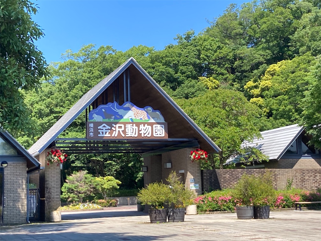 f:id:osamu0618:20260517130229j:image