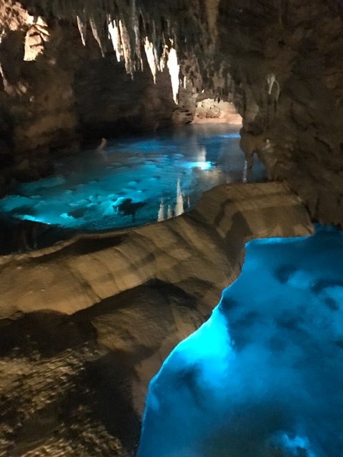 f:id:osamu1218:20170115122732j:plain f:id:osamu1218:20170115122732j:plain