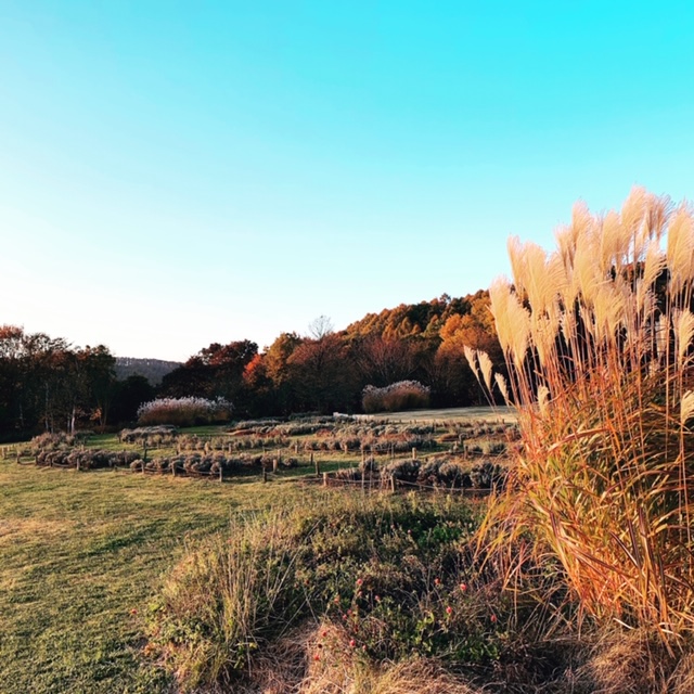 f:id:osamu1218:20181218204239j:plain f:id:osamu1218:20181218204239j:plain