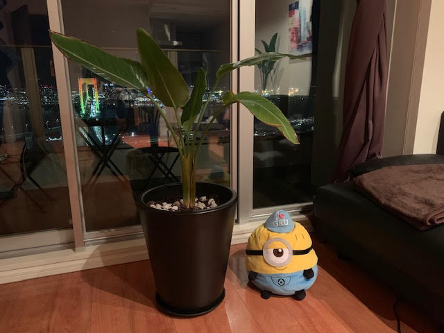 f:id:osamu1218:20181219214310j:plain f:id:osamu1218:20181219214310j:plain