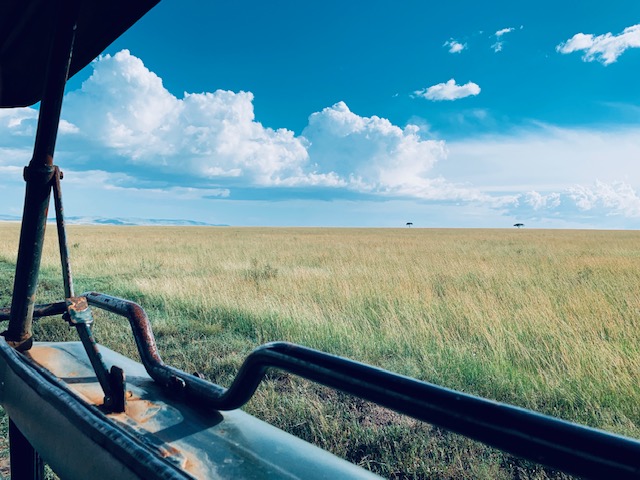 f:id:osamu1218:20190310125020j:plain