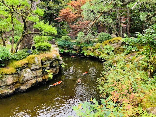 f:id:osamu1218:20190823100247j:plain