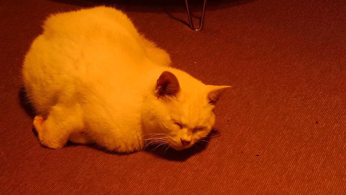 f:id:osamu60:20191025074451j:plain f:id:osamu60:20191025074451j:plain
