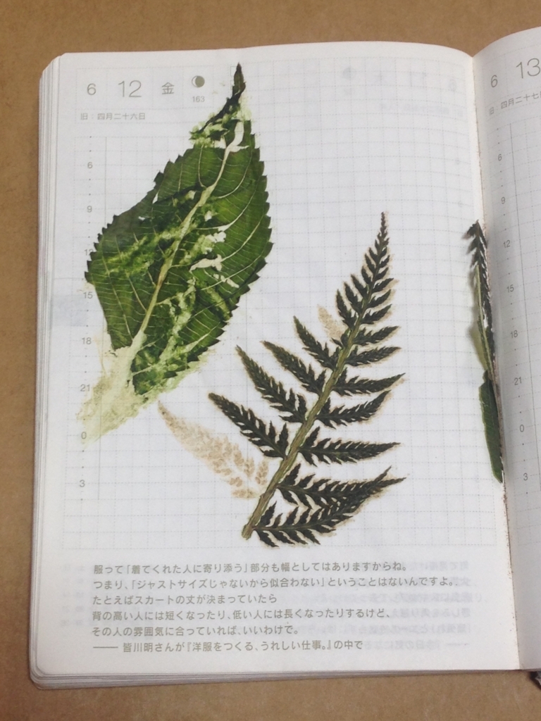 f:id:osanm060225musicAY:20180520102823j:plain