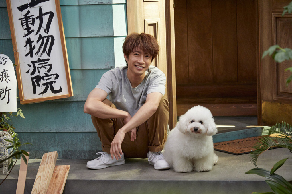 ドラマ『僕とシッポと神楽坂』の犬（ダイキチ）がかわいい！嵐