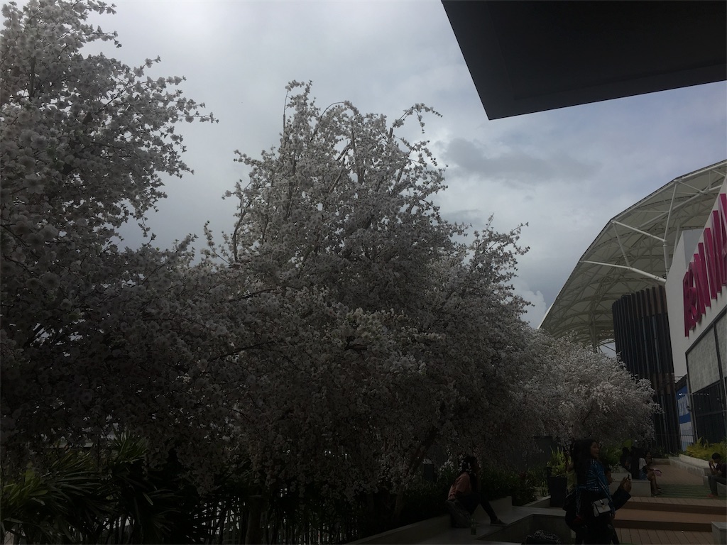 f:id:osannai:20180818213947j:image f:id:osannai:20180818213947j:image