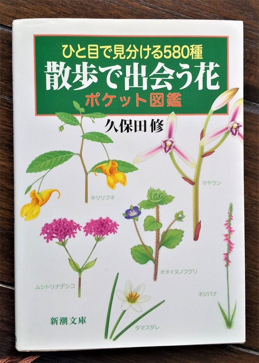 f:id:osannpo:20190919105335j:plain f:id:osannpo:20190919105335j:plain