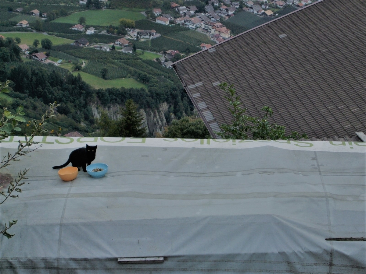 f:id:osanpowanko:20091017113233j:plain