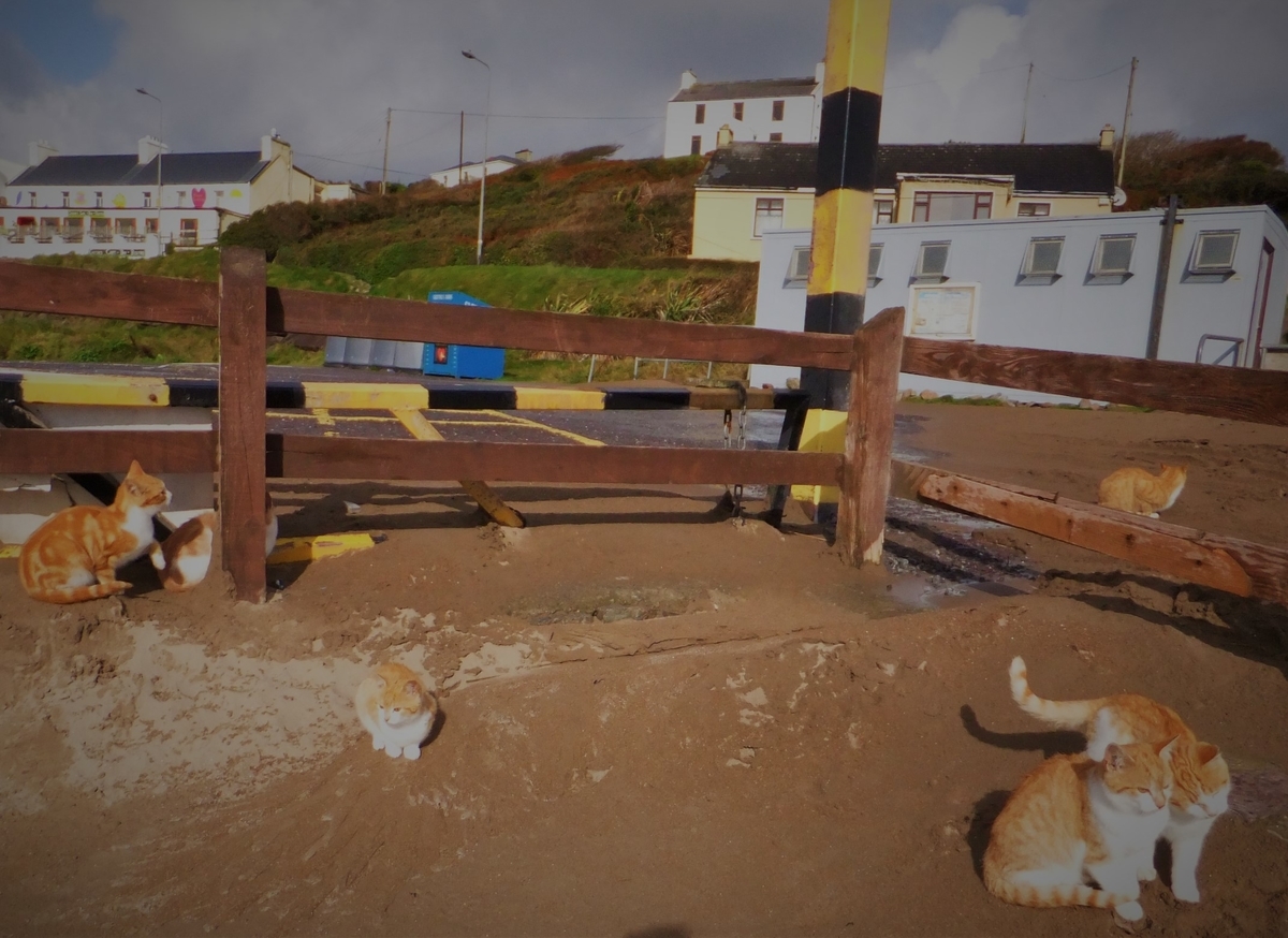 f:id:osanpowanko:20111006111627j:plain