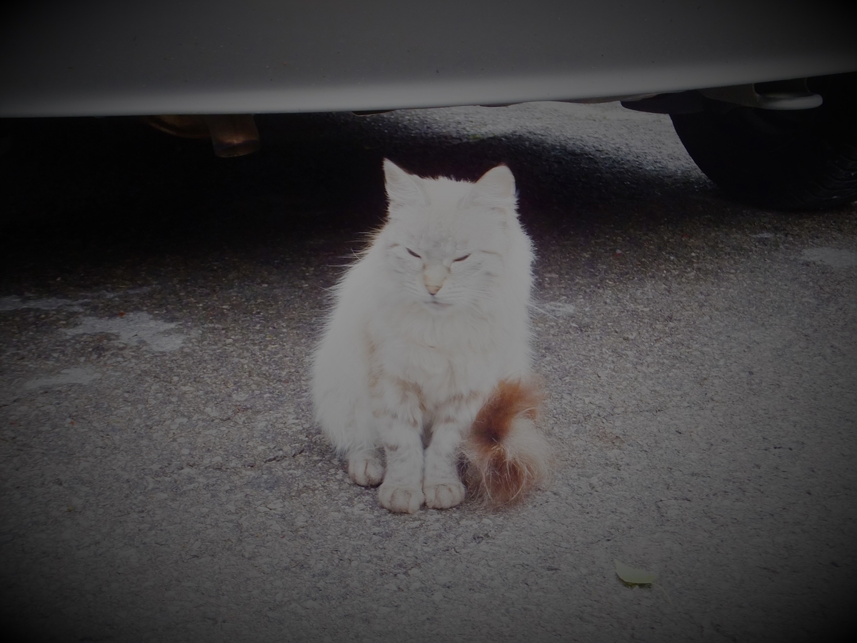 f:id:osanpowanko:20130826112732j:plain