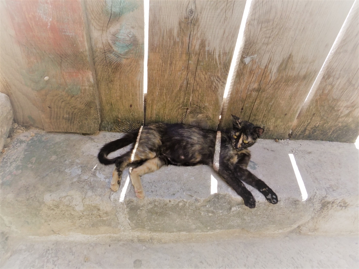 f:id:osanpowanko:20130830124248j:plain