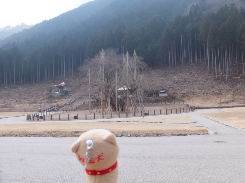 f:id:osanpowanko:20140402123048j:plain