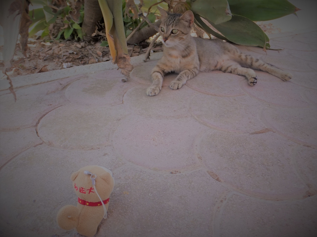 f:id:osanpowanko:20140824132310j:plain