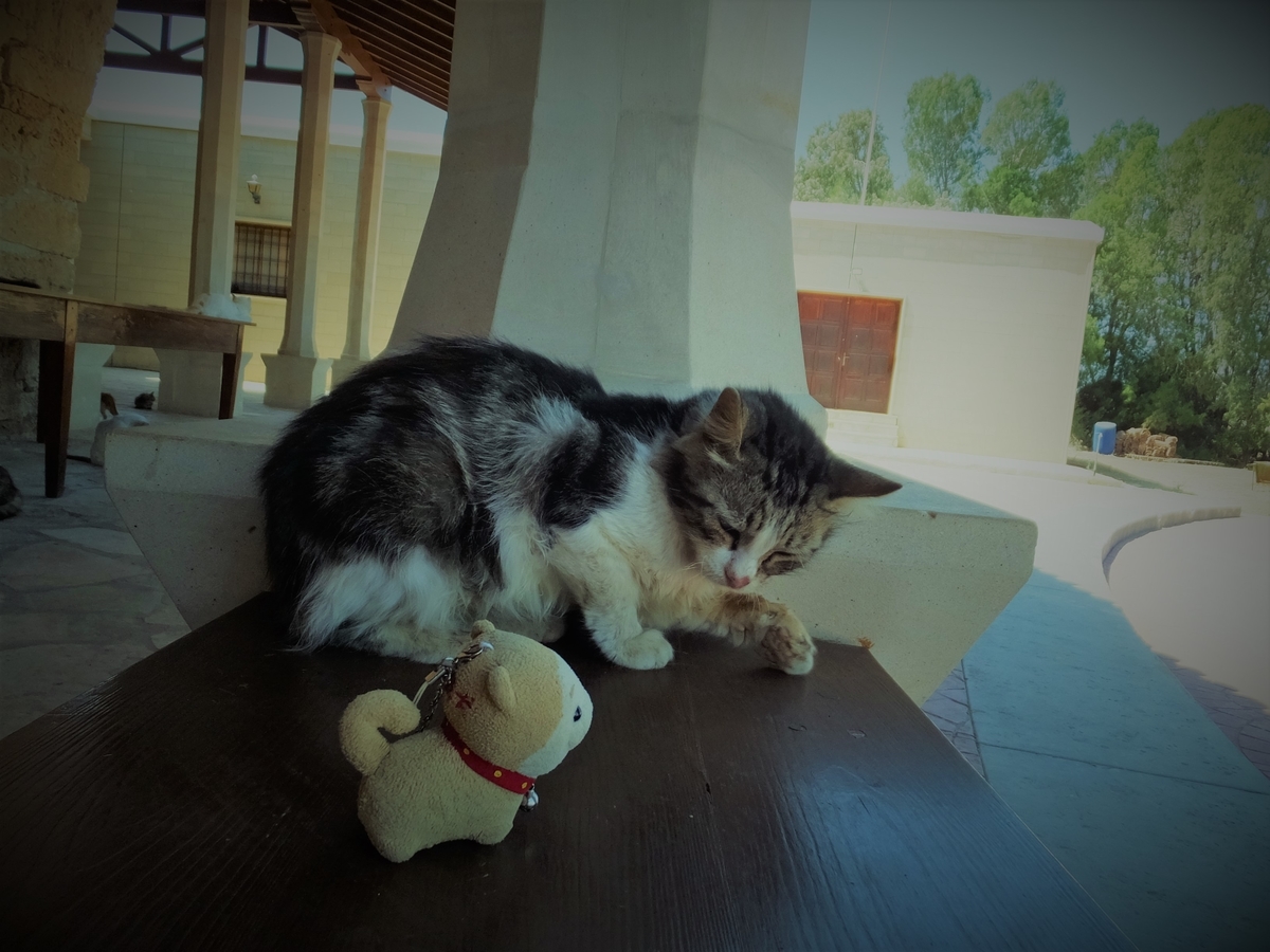 f:id:osanpowanko:20140906181658j:plain