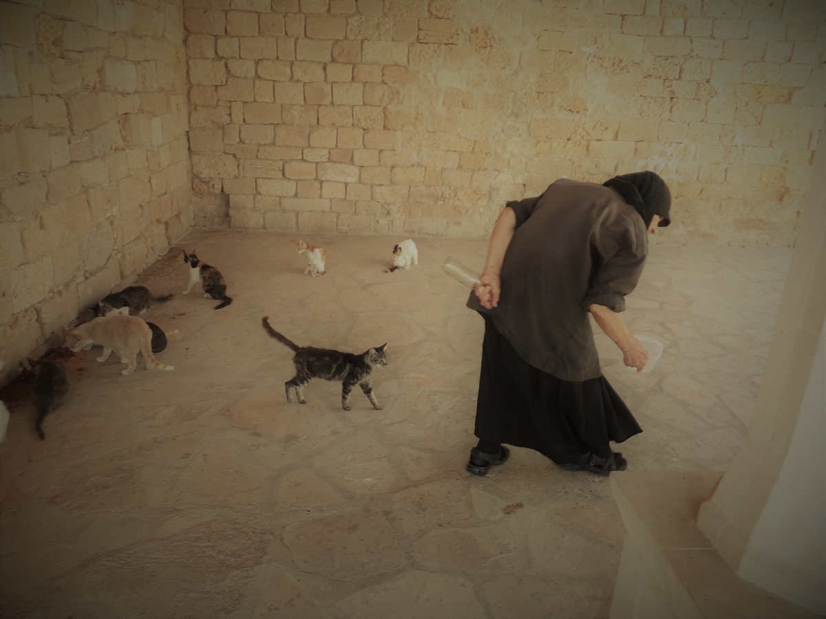 f:id:osanpowanko:20140906182024j:plain