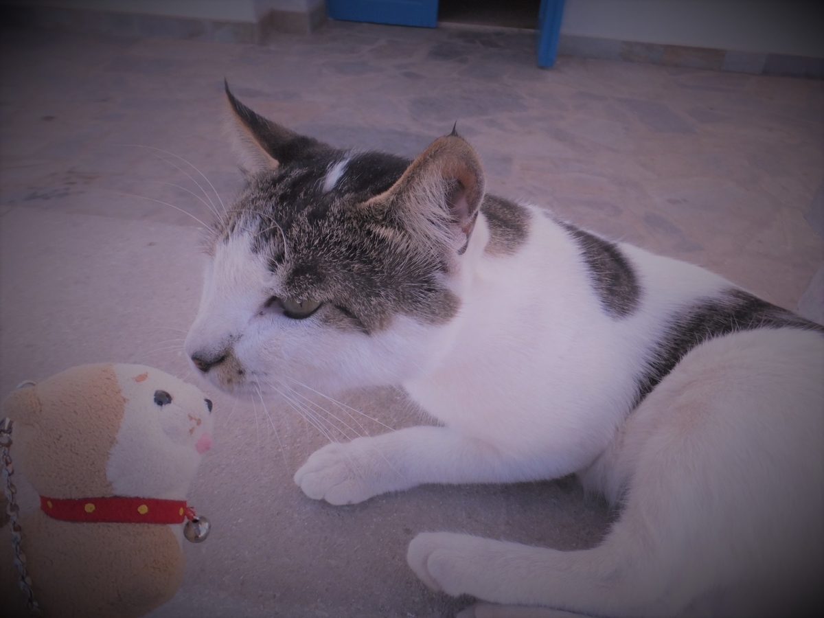 f:id:osanpowanko:20140907094257j:plain