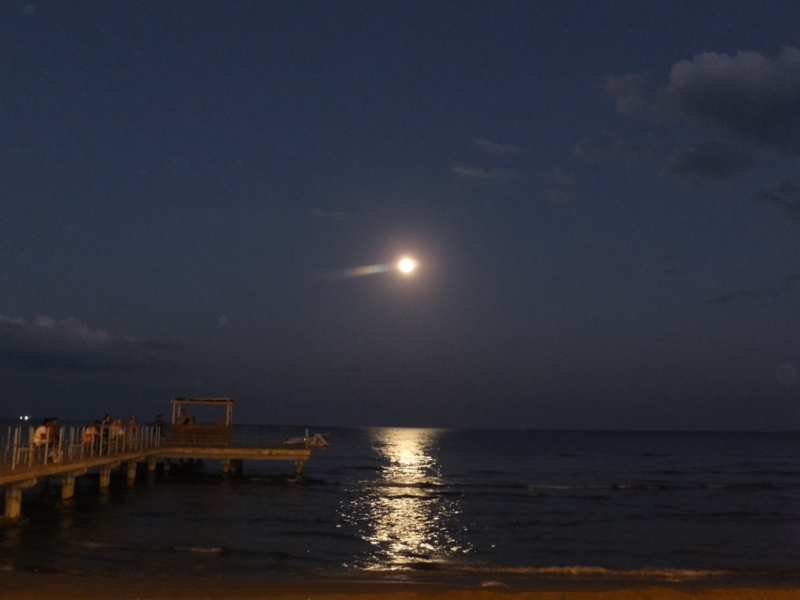 f:id:osanpowanko:20141007194118j:plain