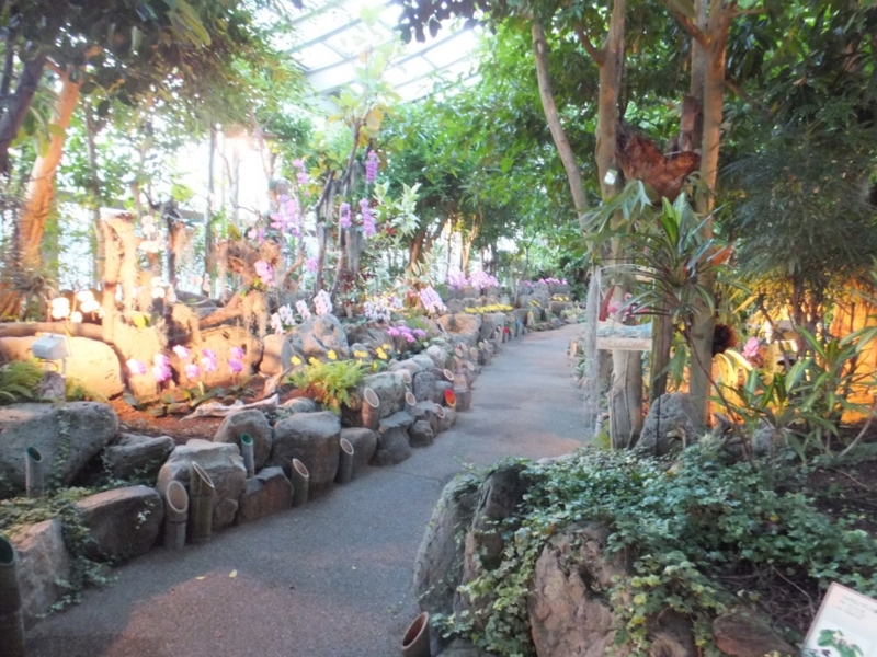 f:id:osanpowanko:20141223144818j:plain f:id:osanpowanko:20141223144818j:plain