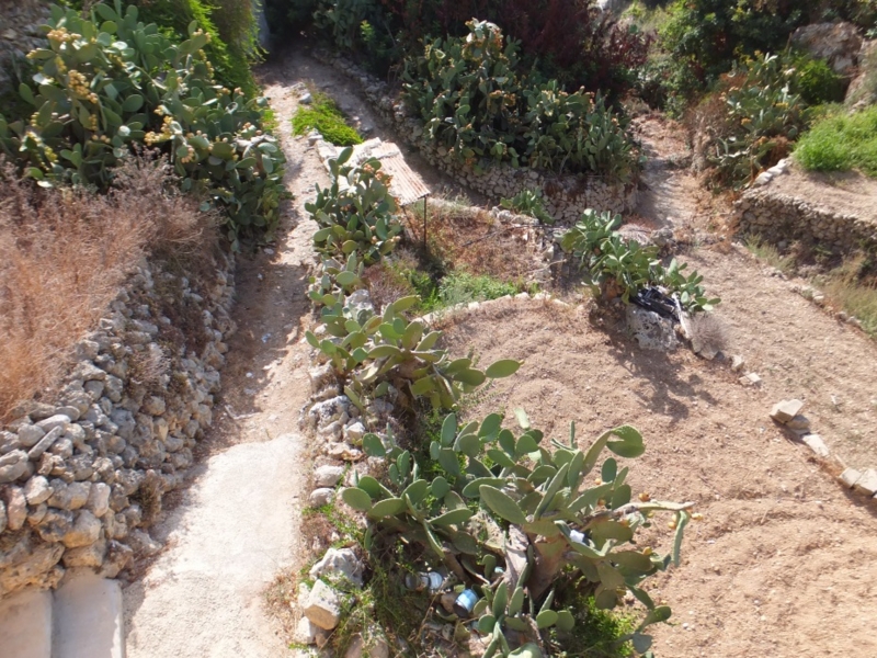 f:id:osanpowanko:20150126163533j:plain