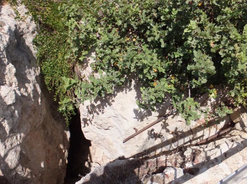 f:id:osanpowanko:20150126163729j:plain