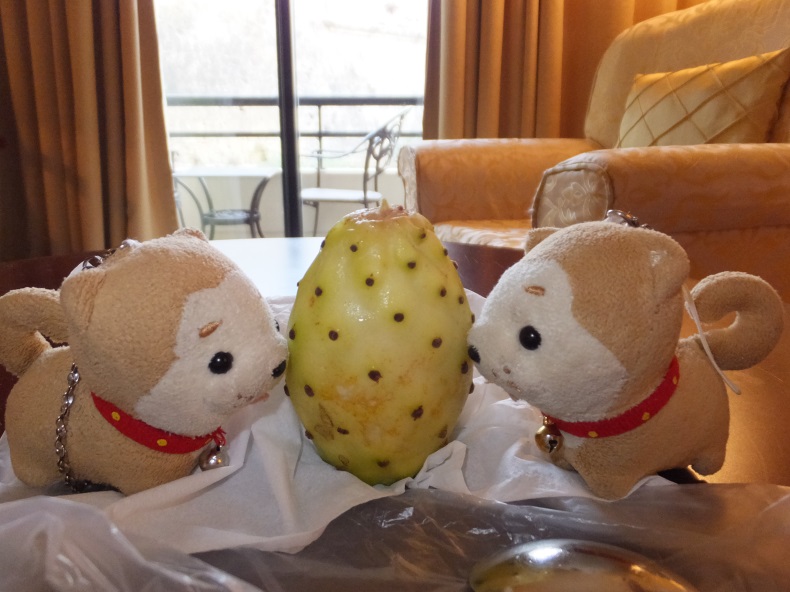 f:id:osanpowanko:20150126165309j:plain