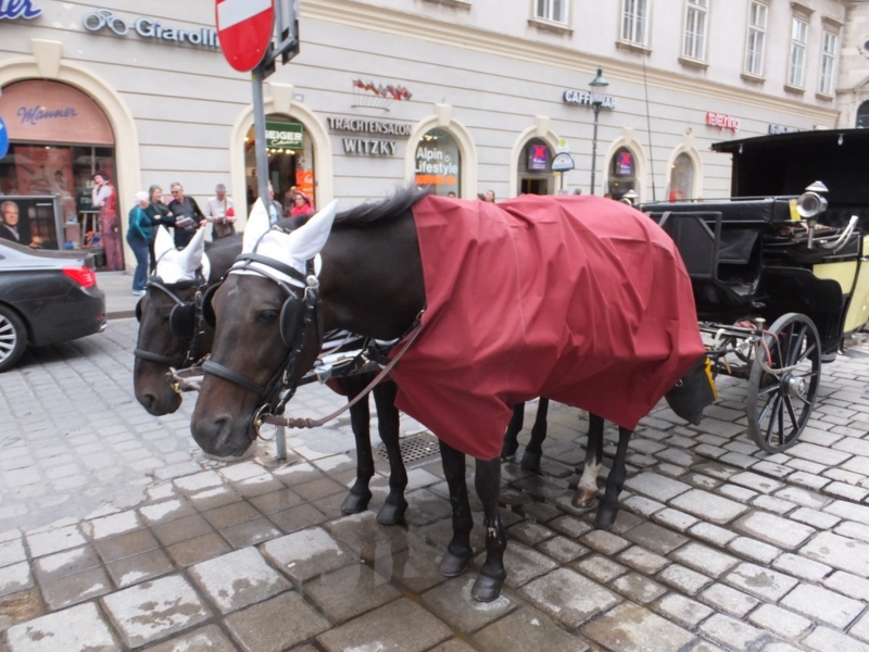 f:id:osanpowanko:20150316145405j:plain