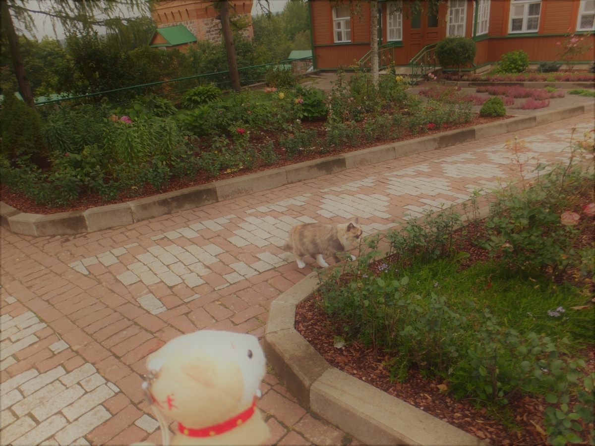 f:id:osanpowanko:20150904105345j:plain