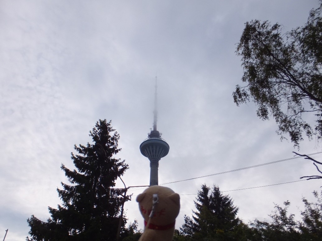 f:id:osanpowanko:20160804202159j:plain f:id:osanpowanko:20160804202159j:plain