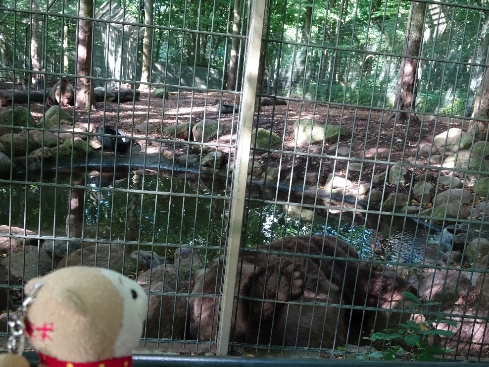 f:id:osanpowanko:20170408154459j:plain