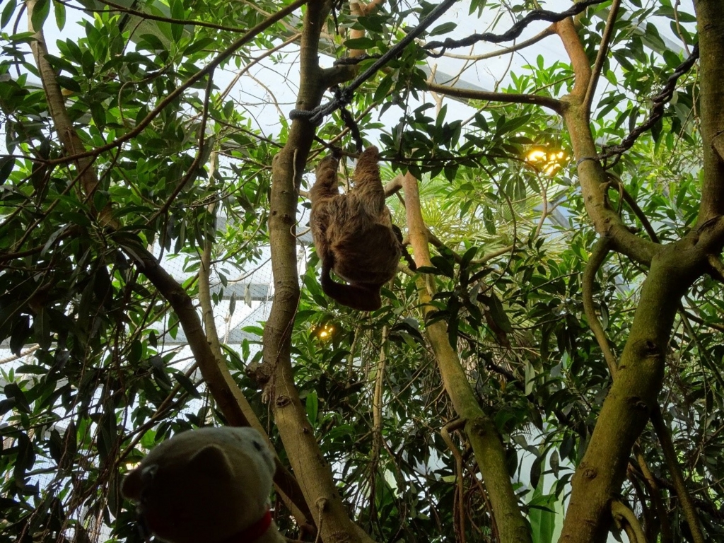 f:id:osanpowanko:20170408154846j:plain