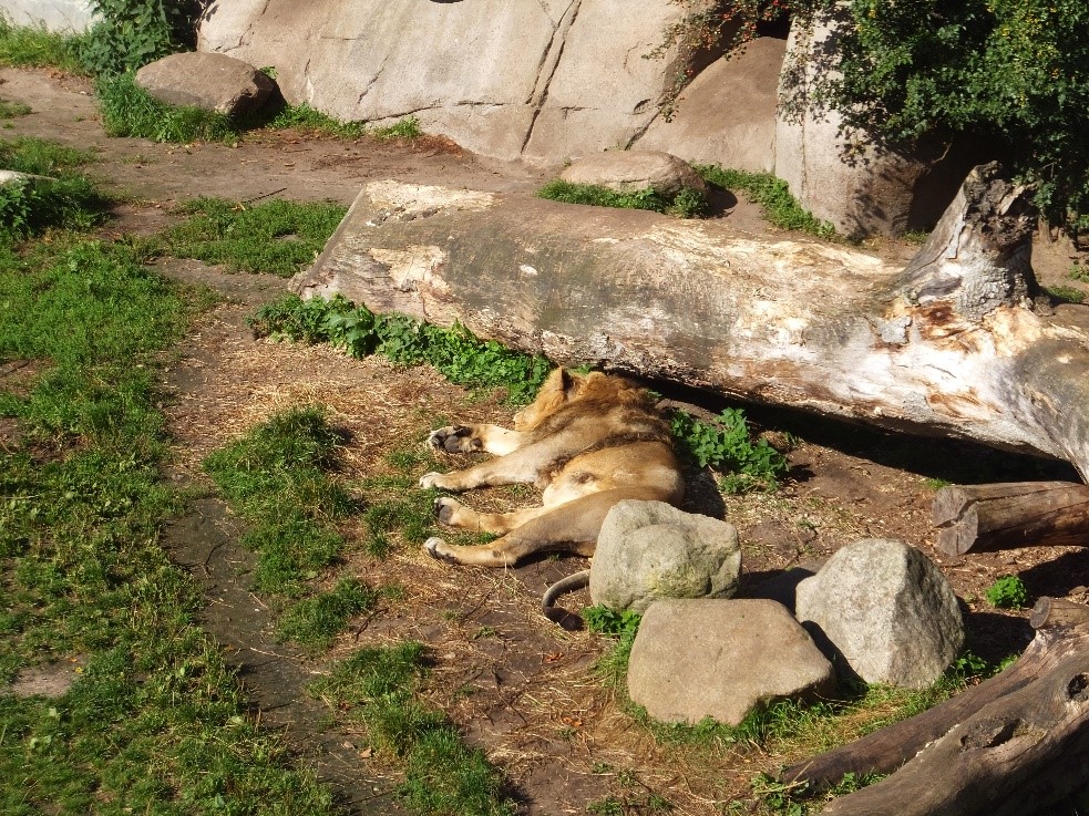 f:id:osanpowanko:20170408154932j:plain